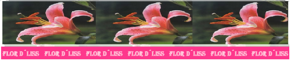 Loja de flordliss